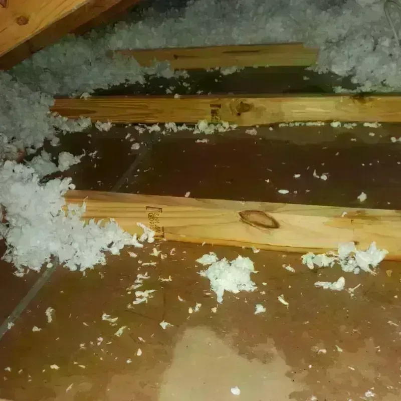 Attic Water Damage in Vance County, NC